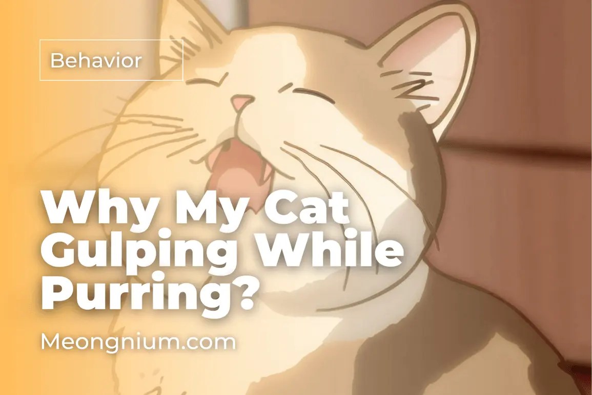 Why Is My Cat Gulping While Purring? (Causes & Solutions)