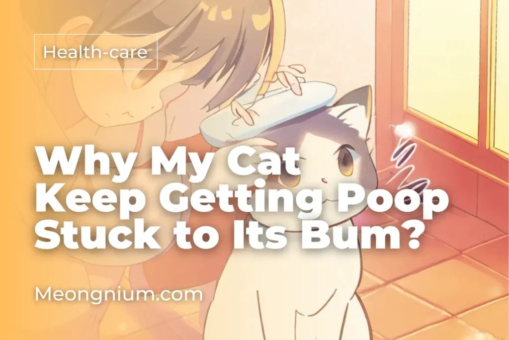 Meongnium — The Purrfect Guide for Cat Lovers