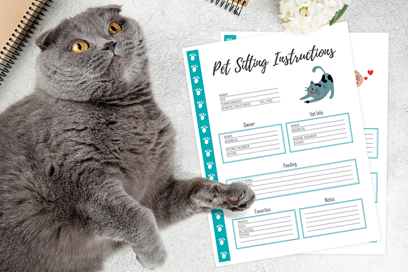 Cat Care Planner A PDF Printable with Cat Care Sheets