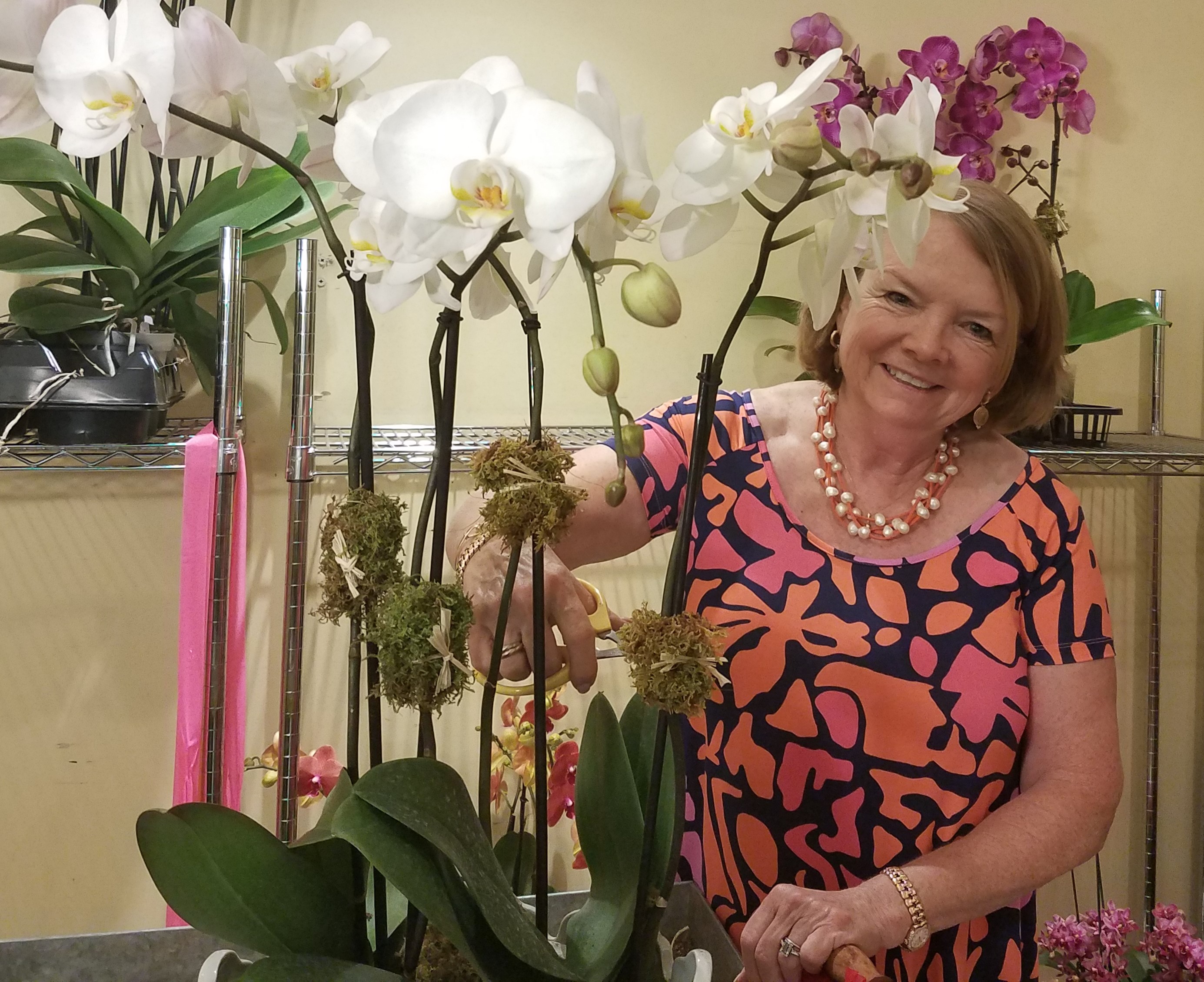 Petrine Poulsen How Long Do Flowers Last On Orchids This Has Awesome
