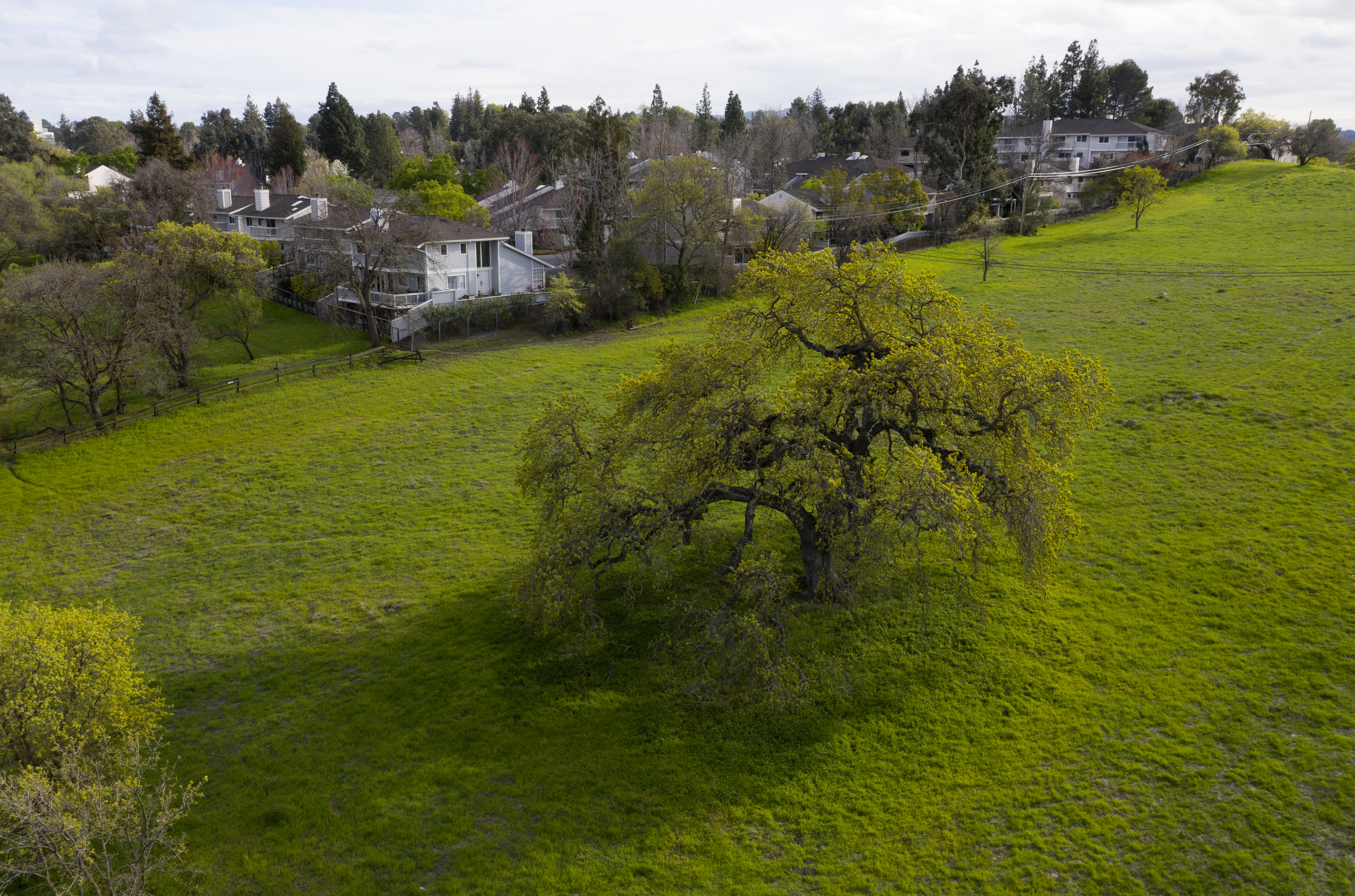 Open-space advocates resist Walnut Creek senior housing
development 2