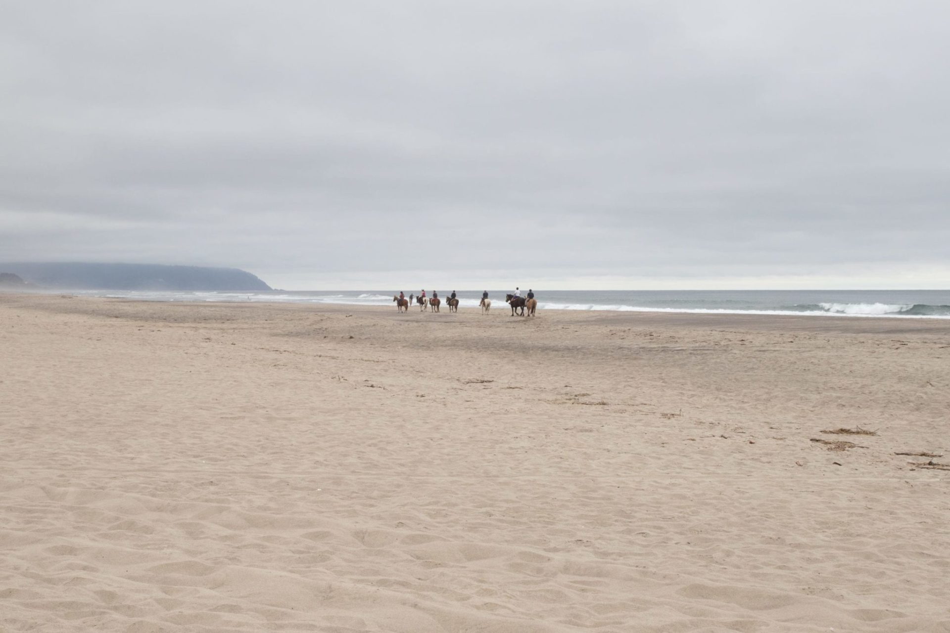 Horseback Riding in Manzanita on the Oregon Coast Meredith Lodging