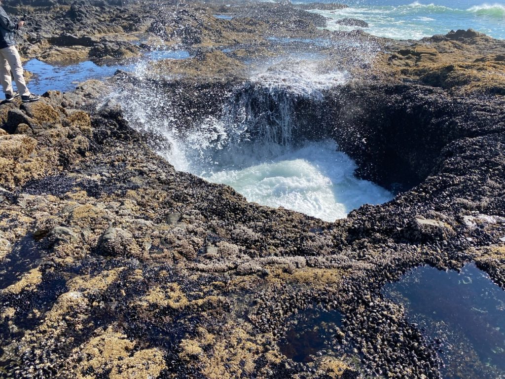Thor’s Well in Cape Perpetua, Oregon Meredith Lodging