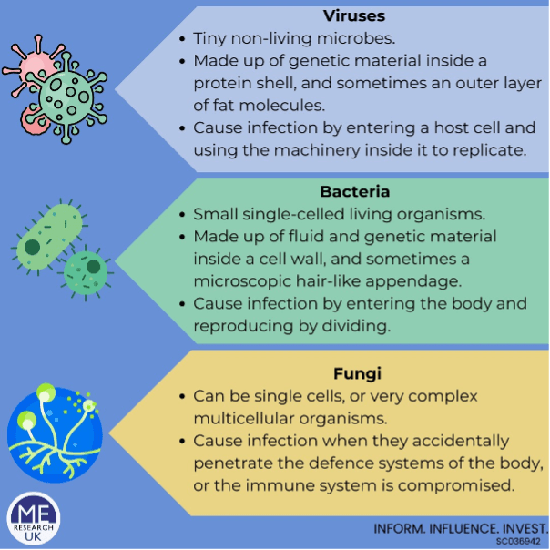 How Long Can Bacteria Live On Soft Surfaces at Debra McRae blog