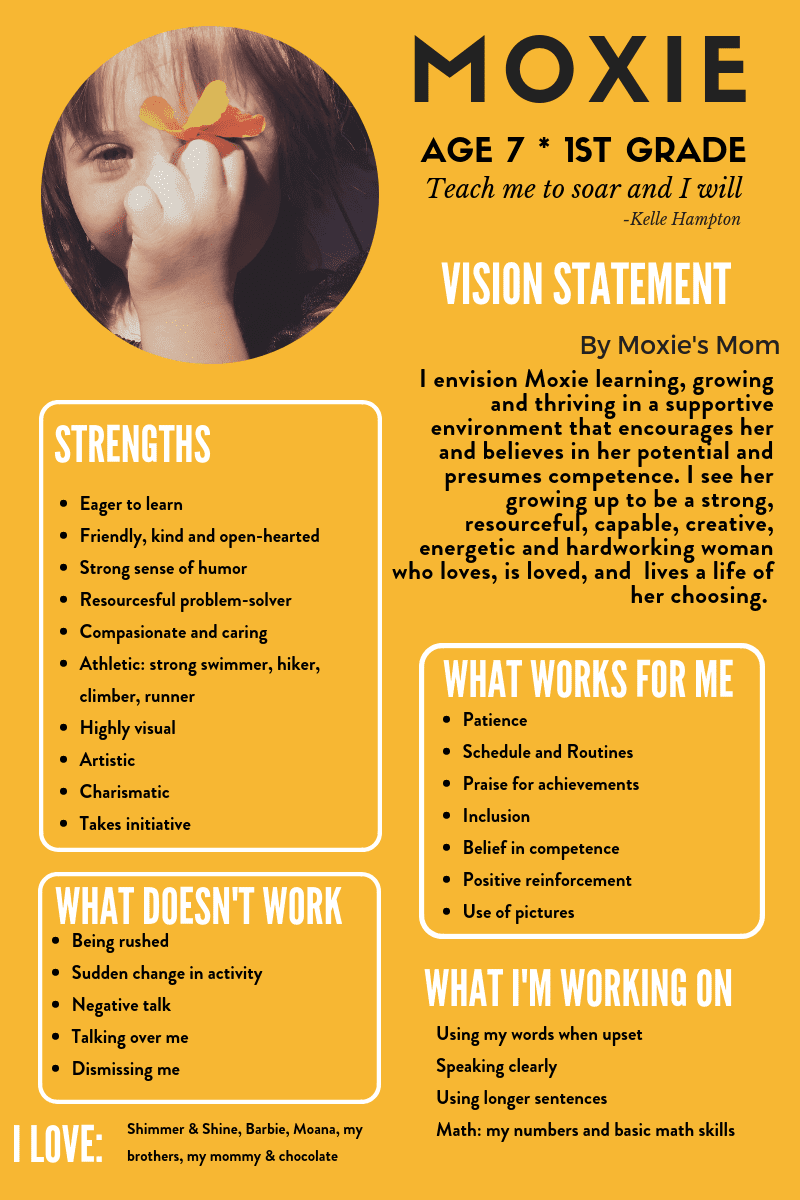 The One Page Profile Template, to Use for IEP or Introduction Meetings