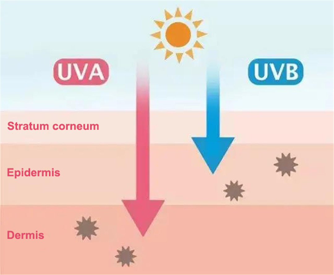 News The difference between sun tanning and indoor tanning.