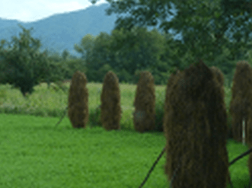 Ghid turistic Maramures