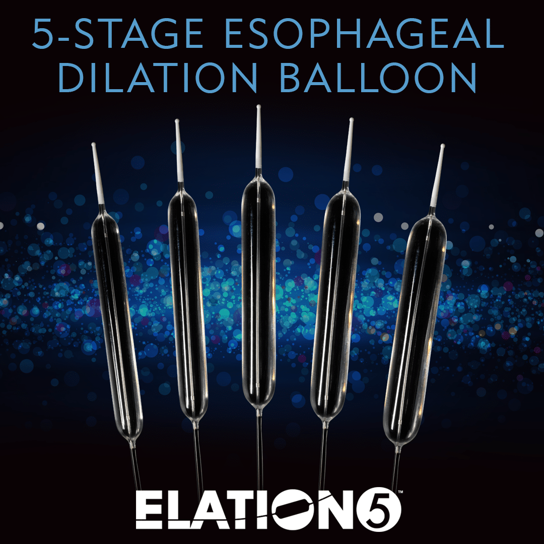 Merit Medical A Global Leader in the Medical Device Industry