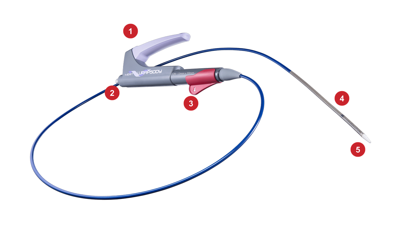 Merit WRAPSODY™ Zellundurchlässige Endoprothese Merit Medical