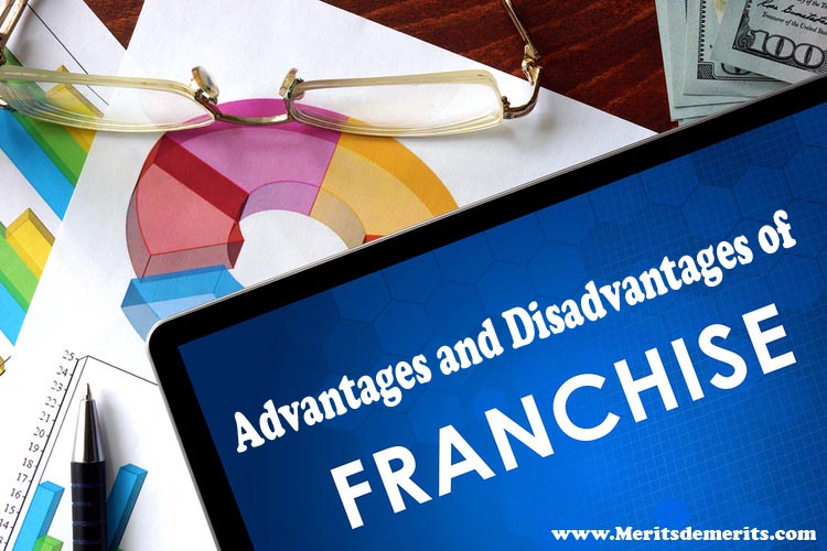 Advantages And Disadvantages Of Business Franchising Pros Cons
