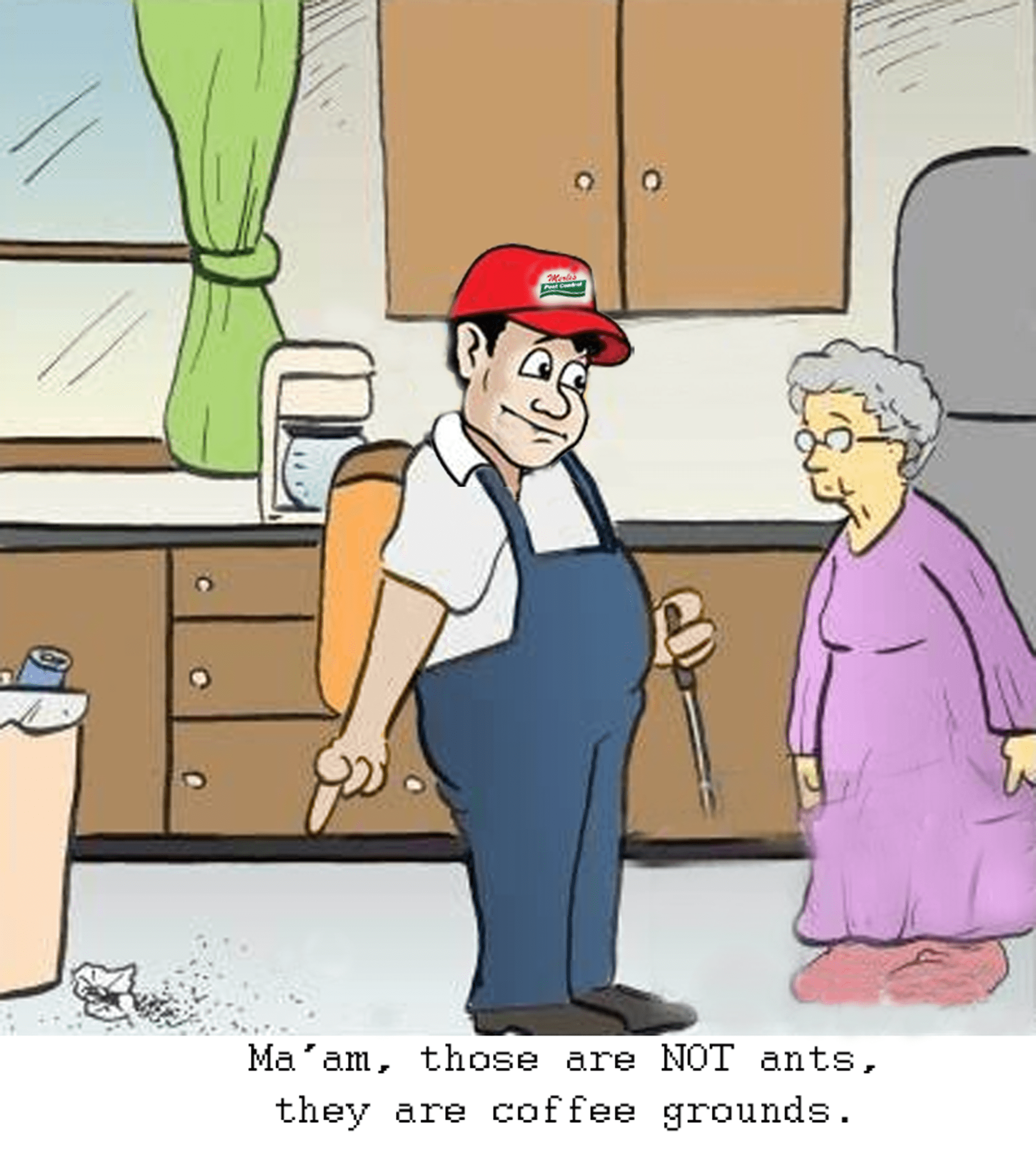 Accurate Home Inspections Eugene Oregon Homemade Ftempo