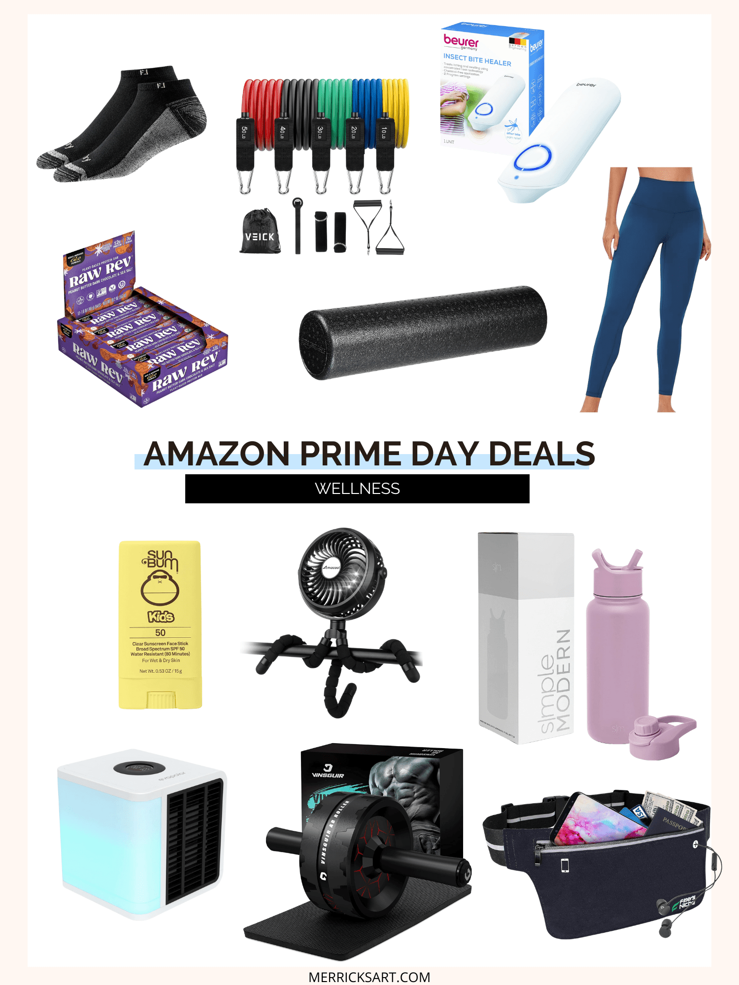 Amazon Wellness Items Merrick's Art