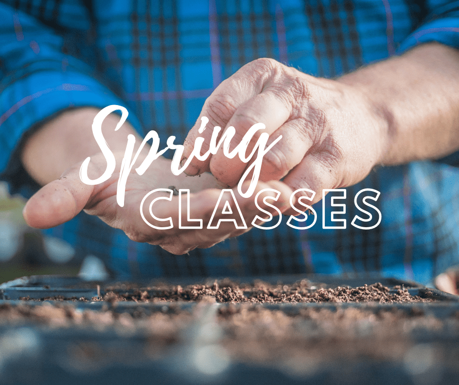 Spring Merrifield Garden Center