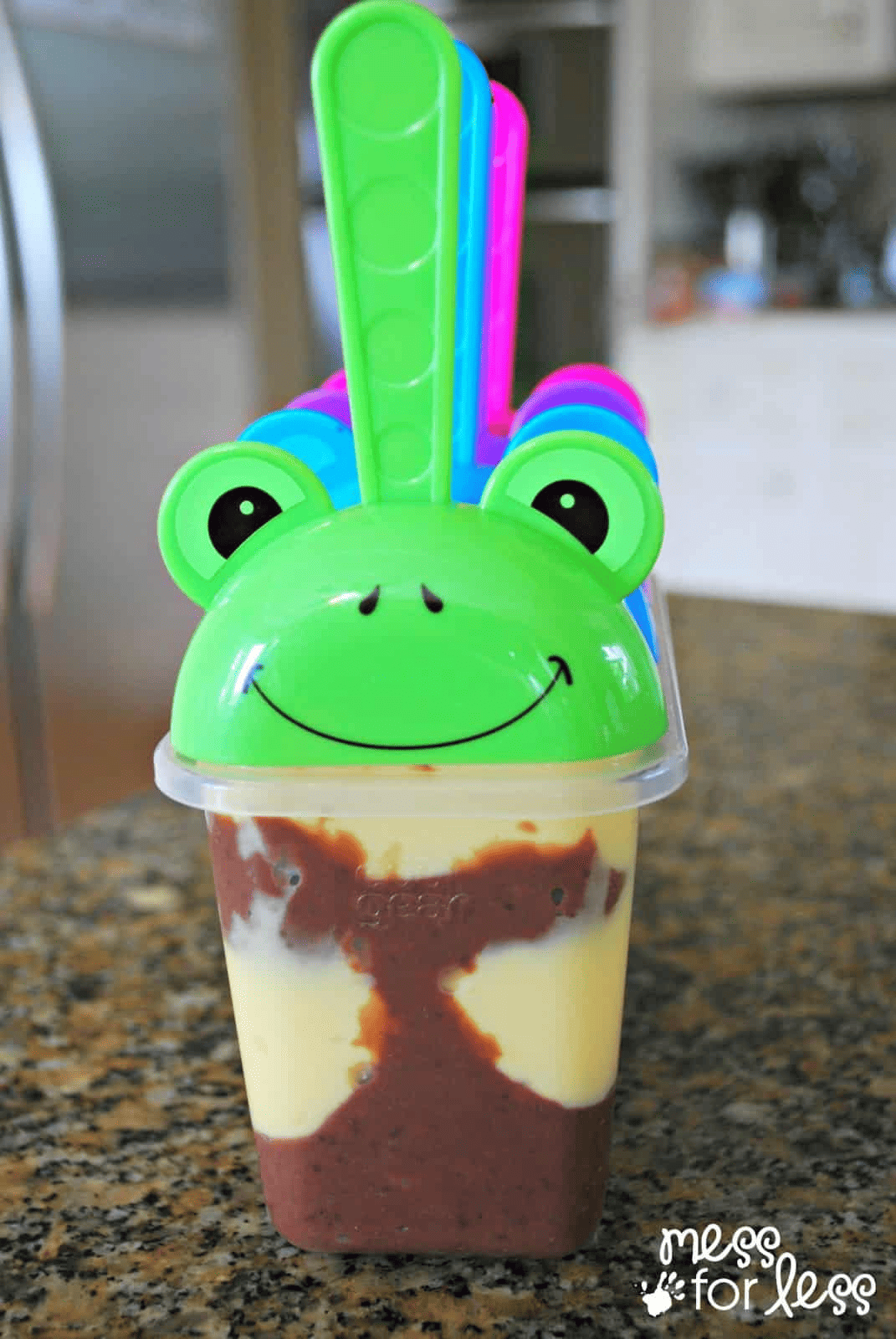 Pudding Pops Mess for Less