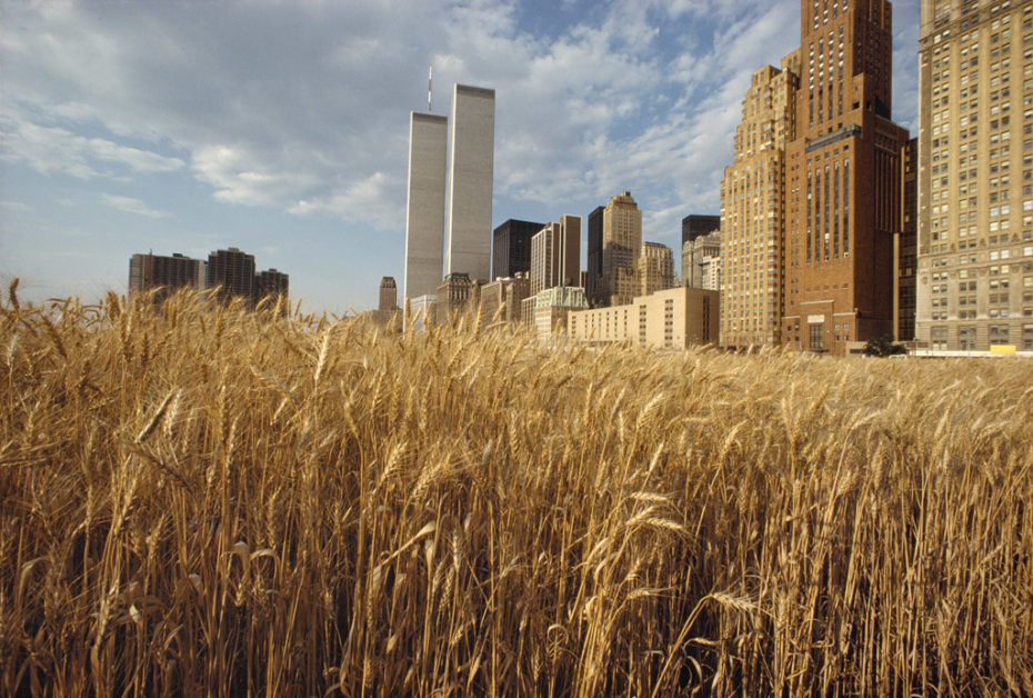 That Time a Wheat Field Grew in Downtown New York