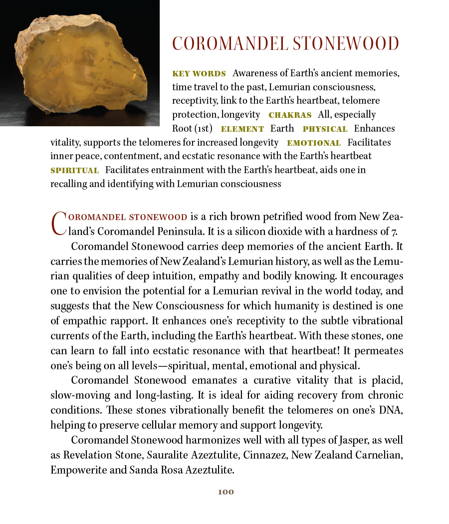 Coromandel Stonewood™ Tumbled & Polished Stones