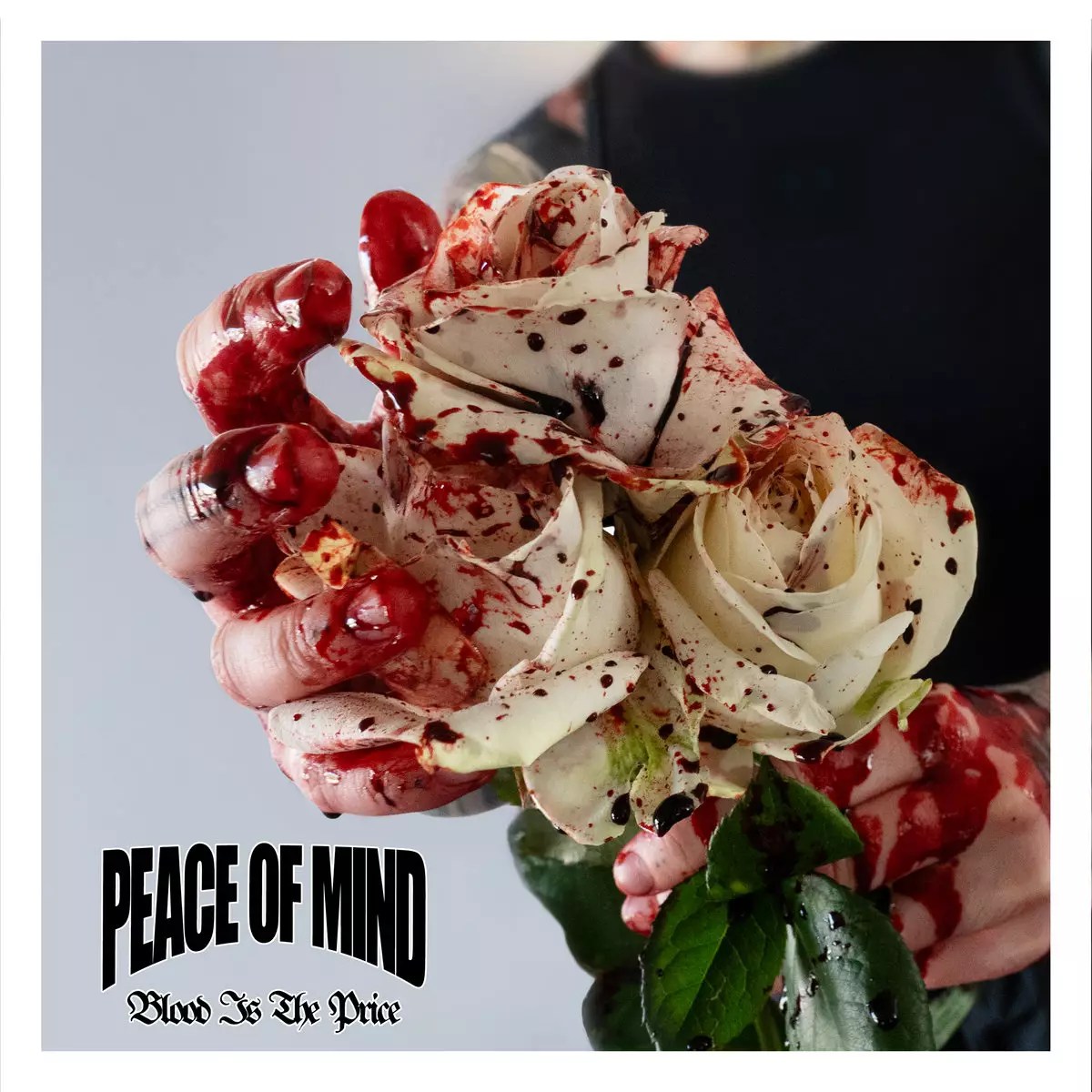 Kritik zu Peace Of Mind BLOOD IS THE PRICE