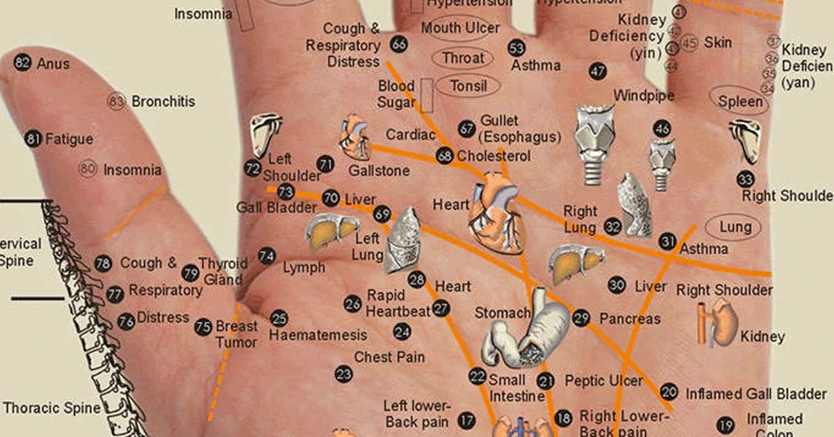 Karta Över Handen All Of Your Body Parts Are In The Palm Of Your Hand! Just Press The