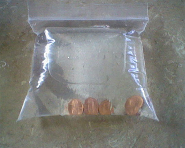 She Keeps Pennies In A WaterFilled Bag On Her Porch… The Reason? This