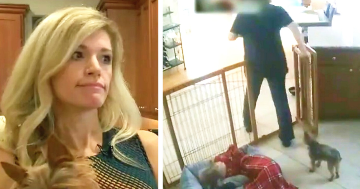 Her Dogs Start Acting Weird So She Installs Camera To See What The Dog