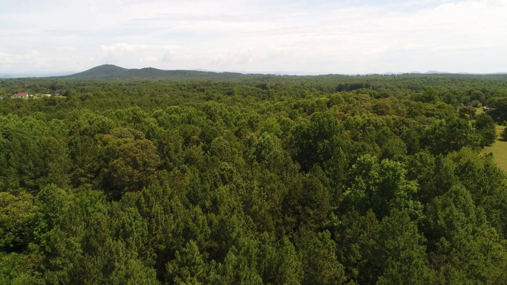 What Are the Benefits of Owning a Vacant Lot in South Carolina? Metcalf Land Company Inc