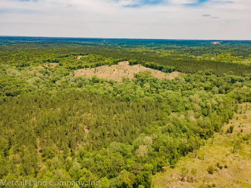Tips for Selling Timberland Land Metcalf Land Company Inc