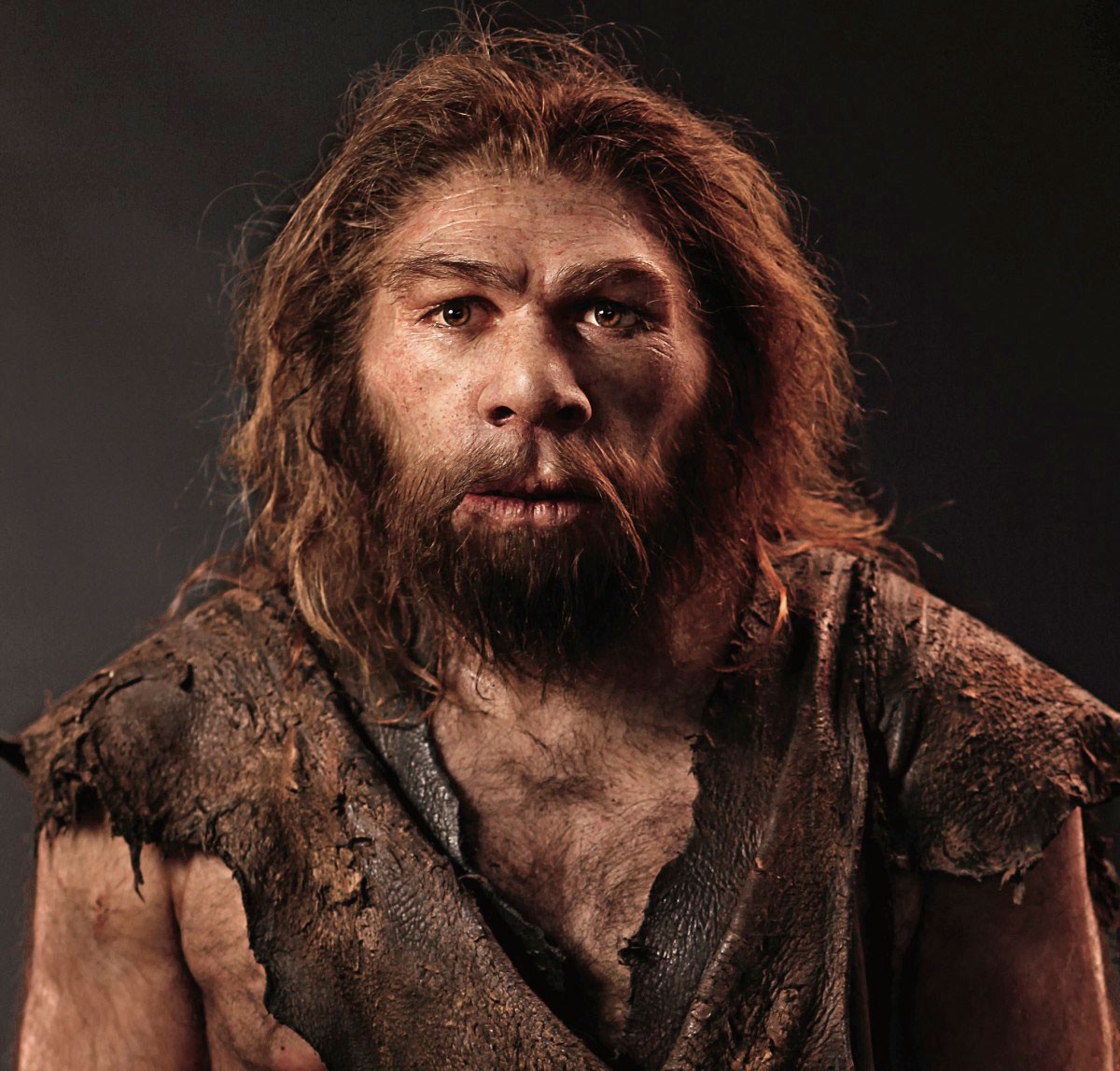 Homo sapiens características, evolución y alimentación Meteorología(03)