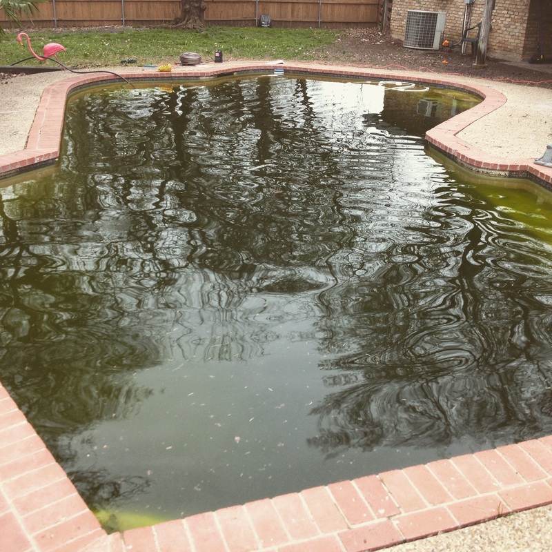Swimming Pool Repair in Ellis County METHOD POOLS SWIMMING POOL