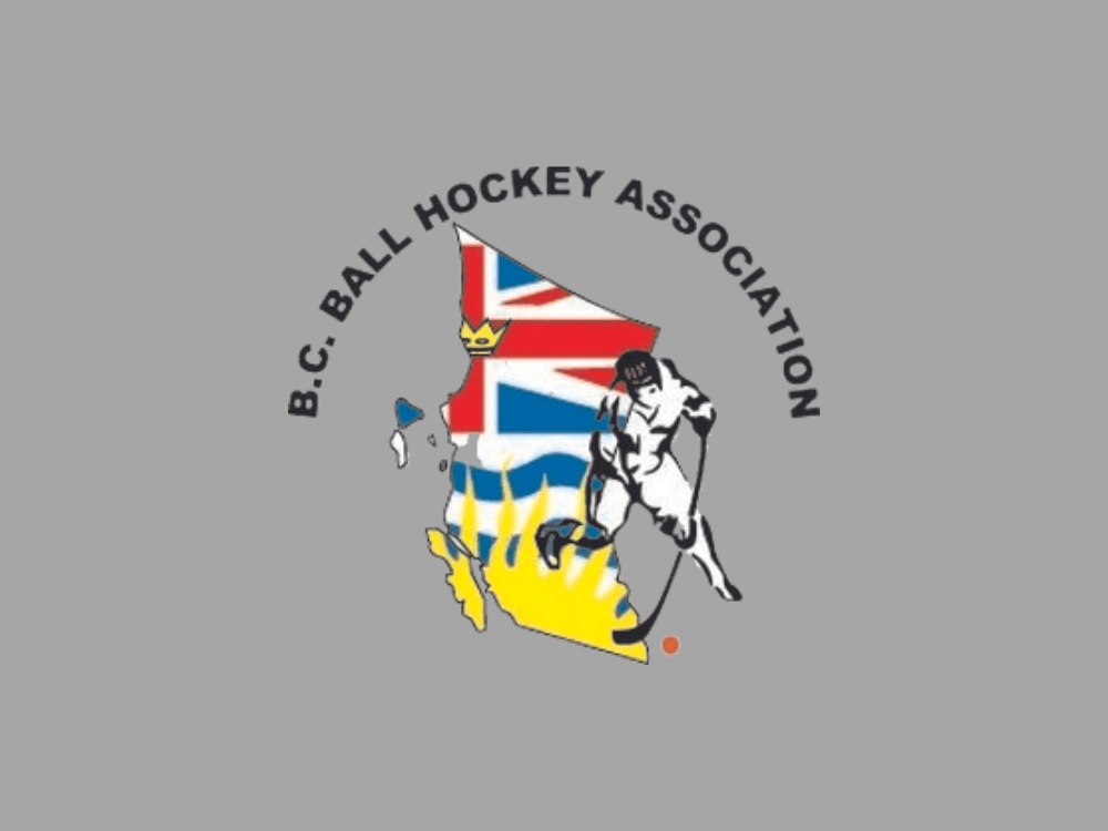 Playoffs/Tournaments Metro Minor Ball Hockey