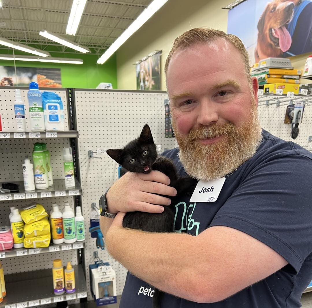 Petco Partnership Mew Cat Rescue