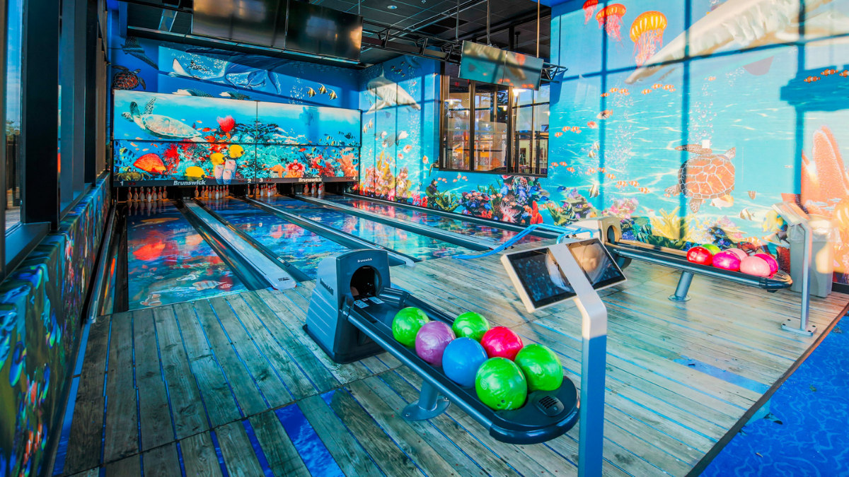 Children’s Learning Adventure Meyer Najem