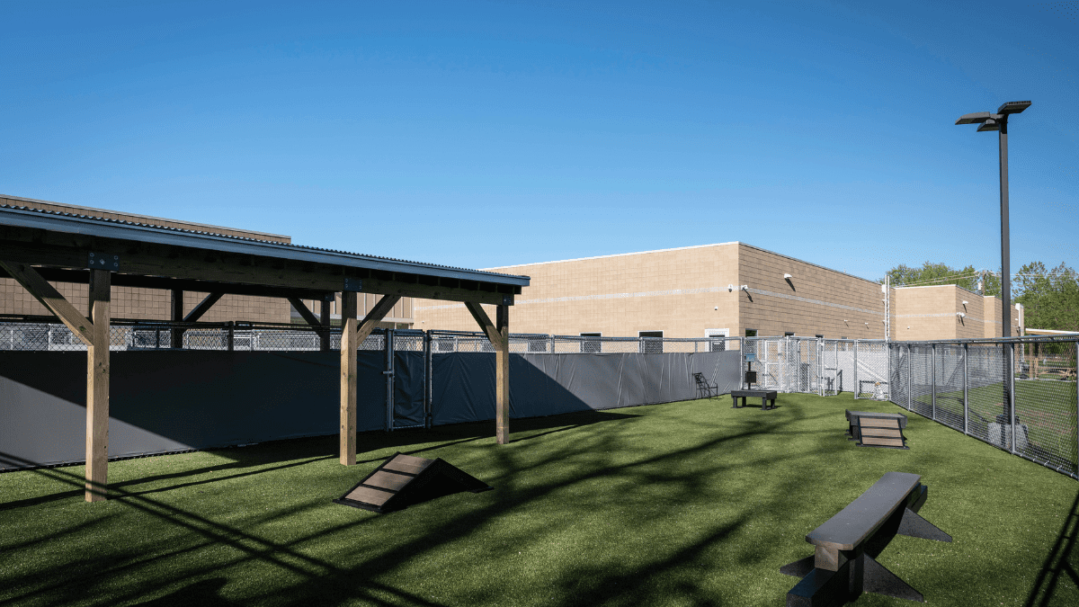 Humane Society for Hamilton County Meyer Najem