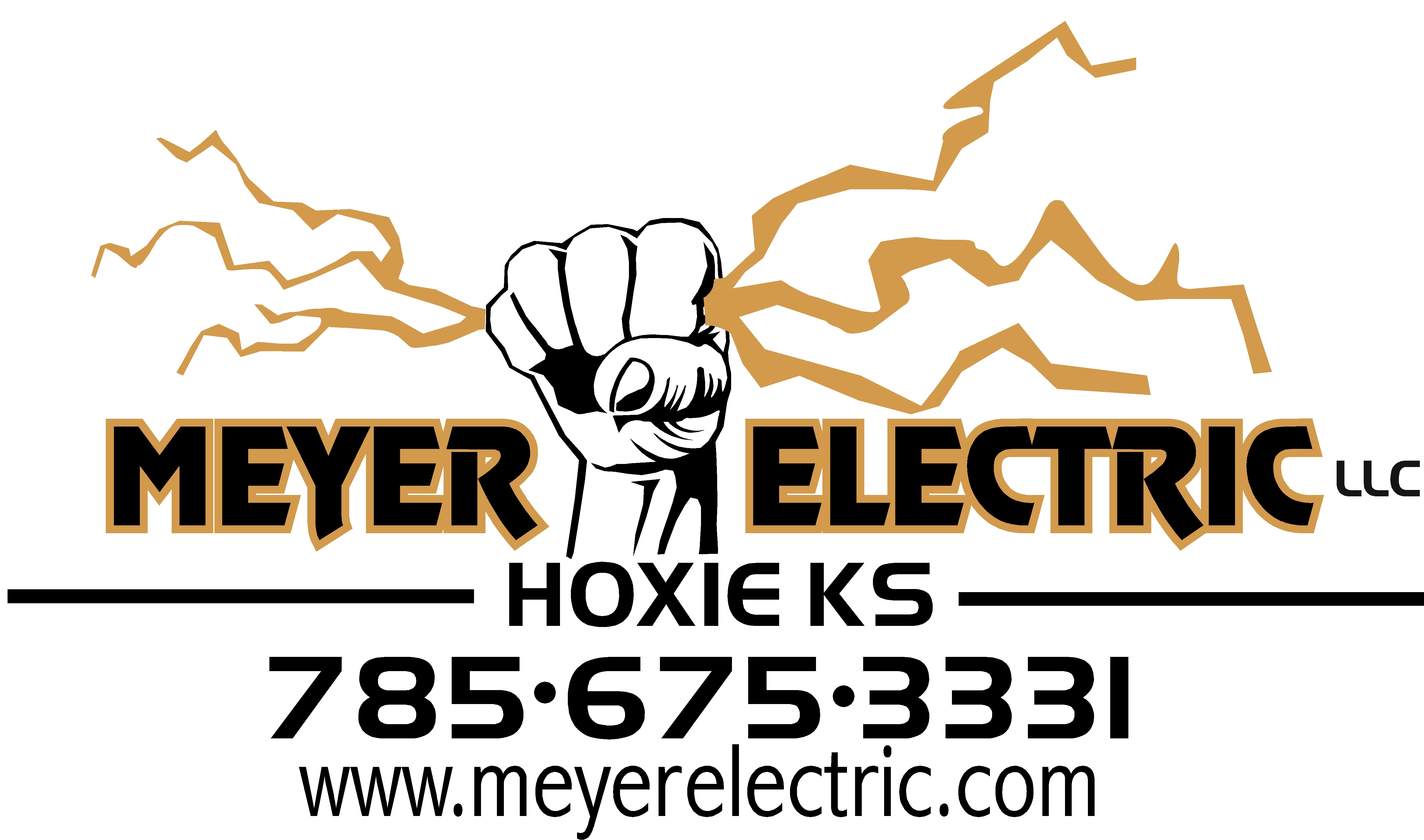 MEYER ELECTRIC'S WEB PAGE