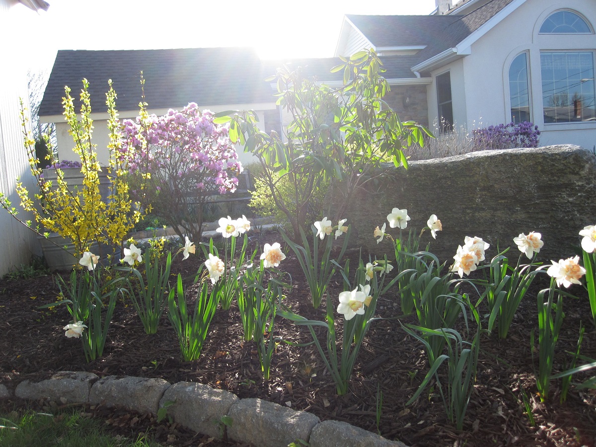 Landscape Enhancement Meyer Properties