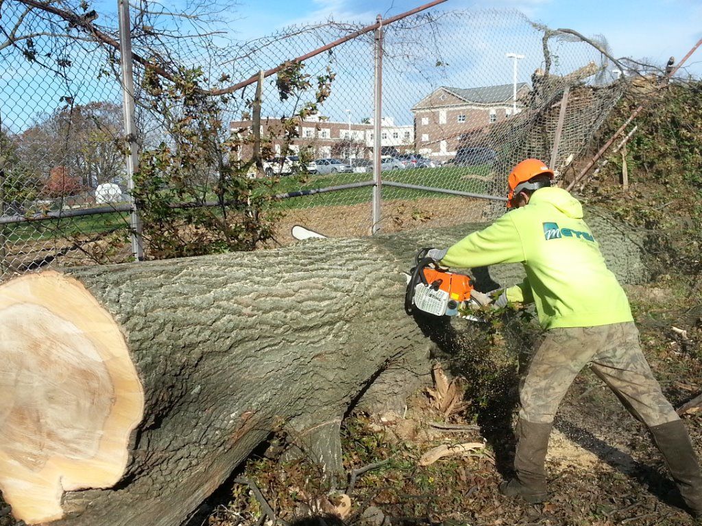 Tree Care Meyer Properties