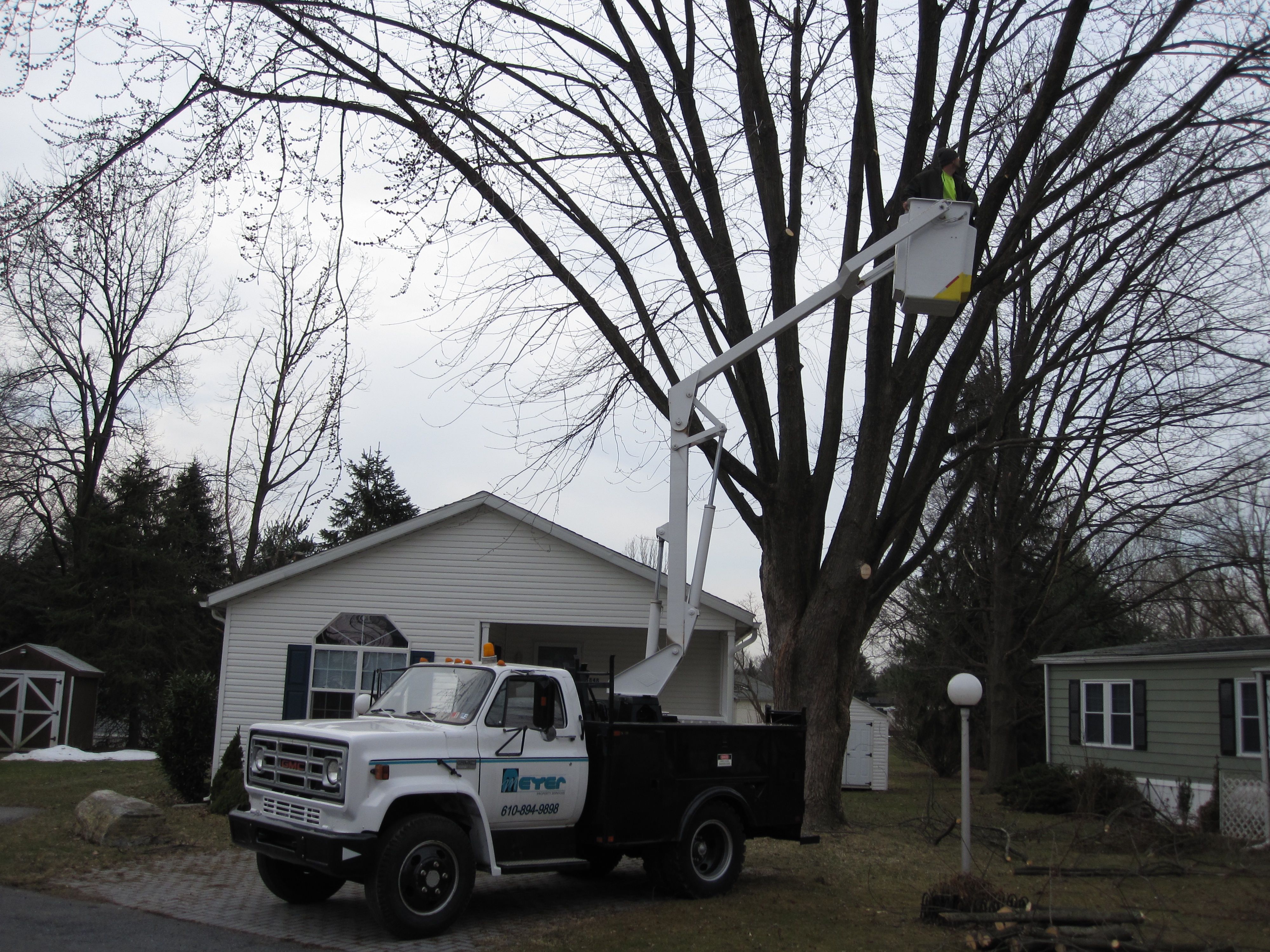 Tree Care Meyer Properties