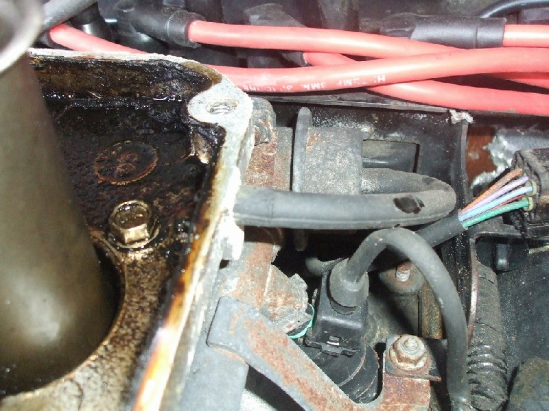 Valley Gasket and 71mm plenum