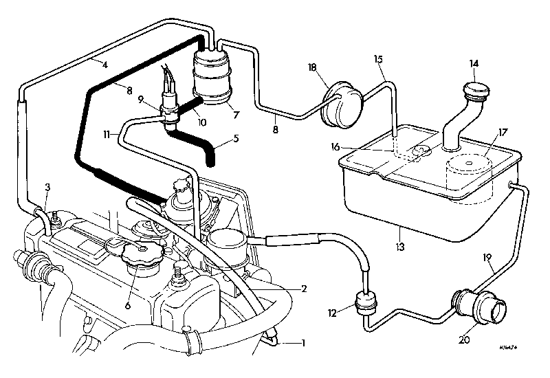 MGB Roadster and GT V8