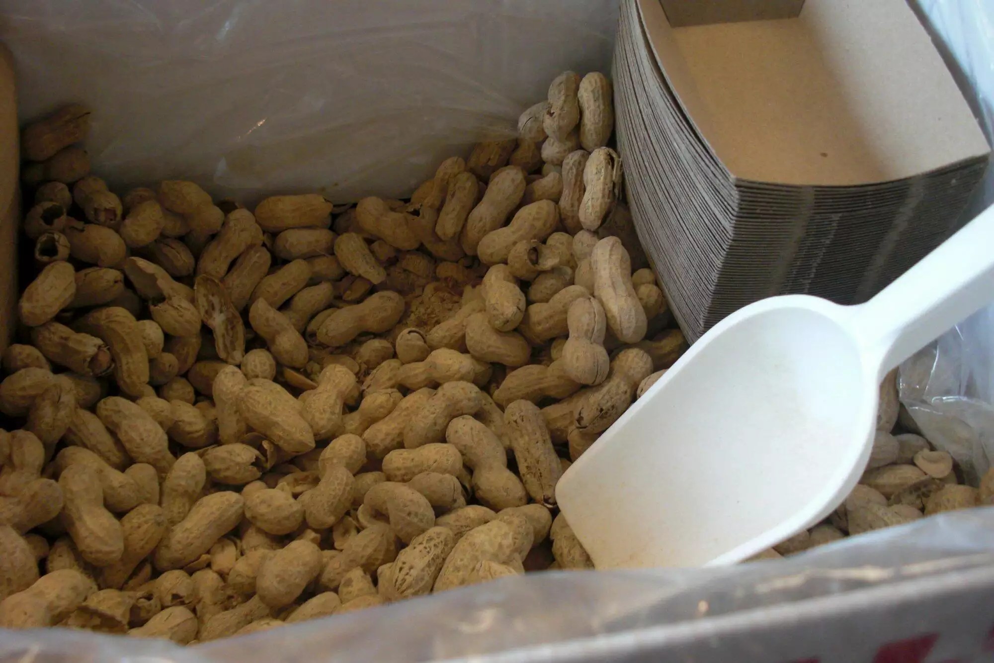 Five Guys in Midtown Miami Worth a Peanut TripFive Guys in Midtown