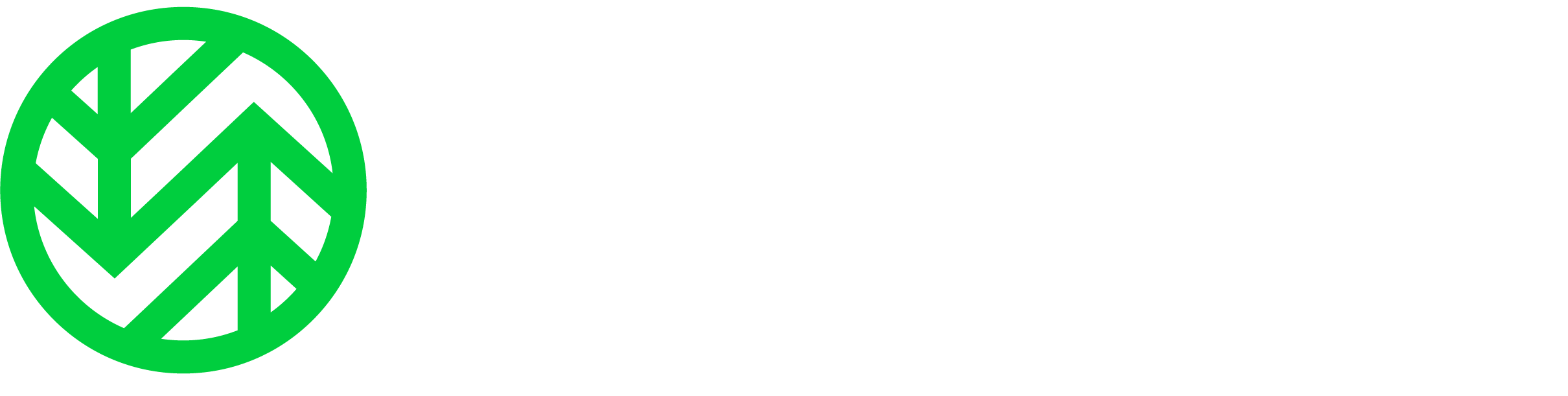 Wasabi_Tiger BRIDGE solution