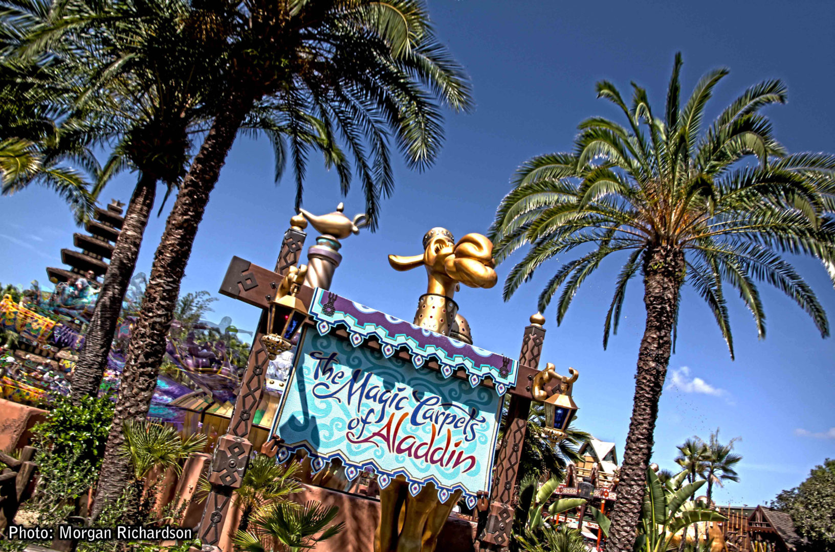 Magic Carpets MiceChat