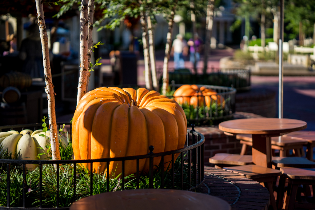 Halloween arrives at the Magic Kingdom