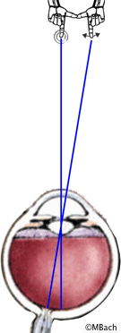 blind spot demonstration
