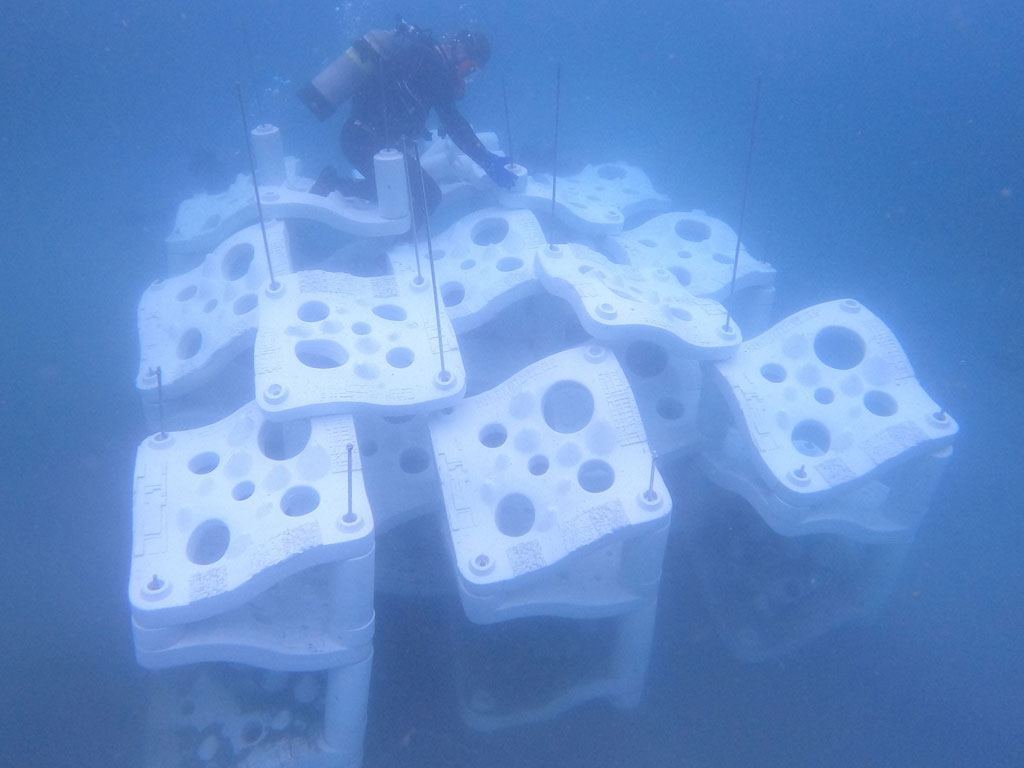 Michael Singer StudioMarine Living Structures Initiative MLSI