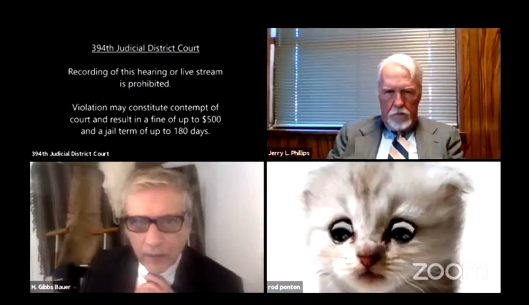 Lawyer Hilariously Stuck in Cat Filter Mode During Zoom Court Hearing