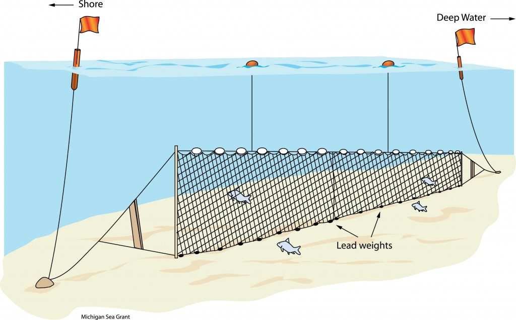Kinds Of Fishing Nets at Scott Reed blog