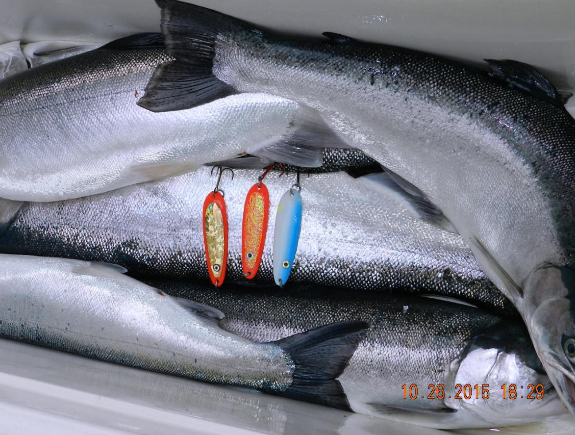 Surface Steel 4.0 Great Lakes Trolling Tactics