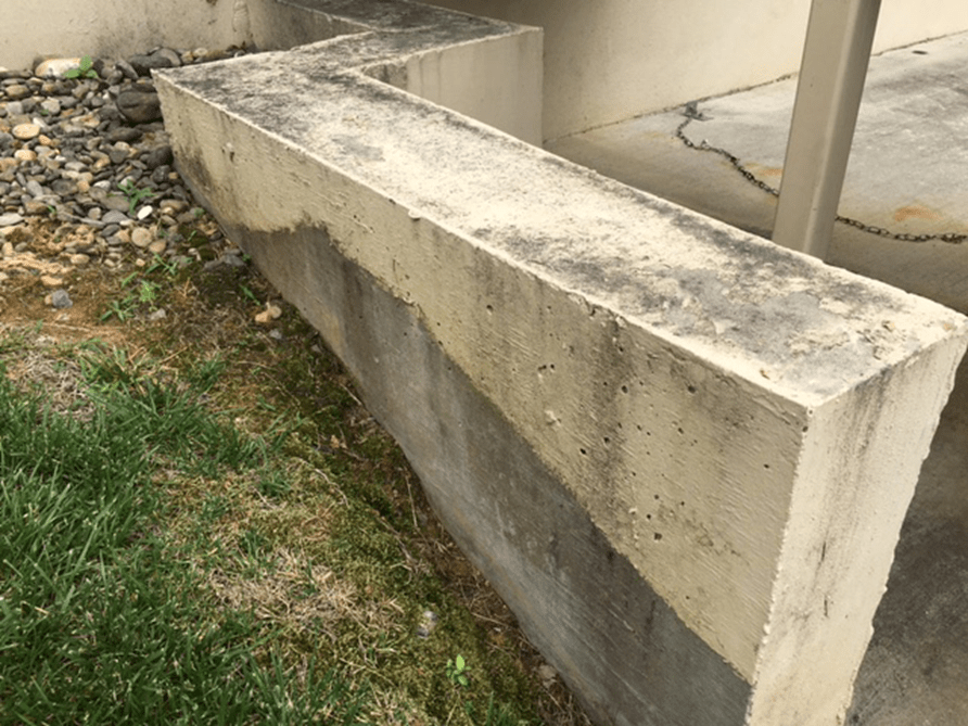 Fungus and Algae Prevention on Concrete Microban