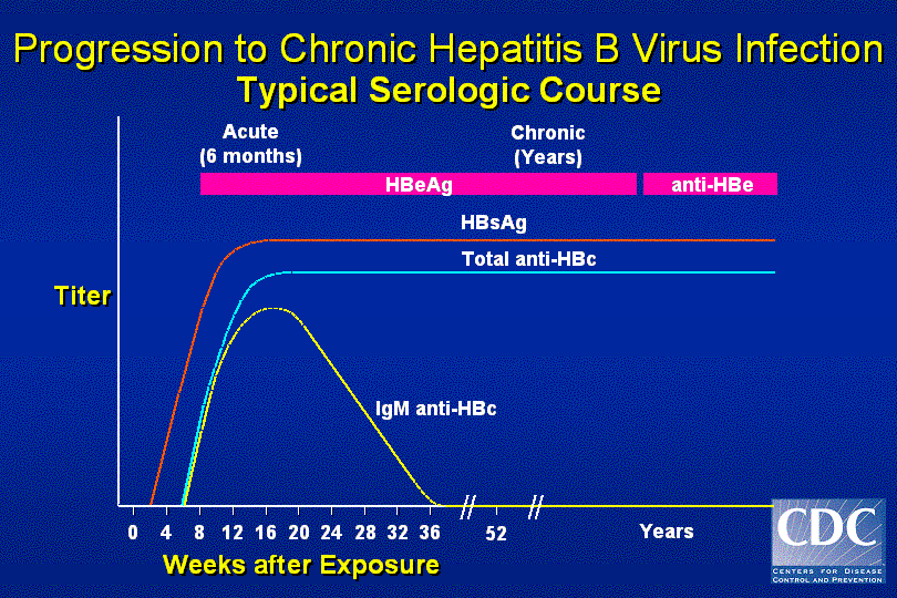 HEPATITIS B, C, D AND G