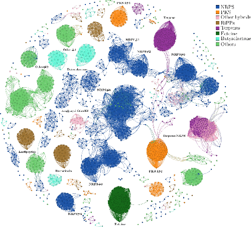 Rhodococcus Comparative Genomics Reveals A Phylogenomic Dependent Non Ribosomal Peptide Synthetase Distribution Insights Into Biosynthetic Gene Cluster Connection To An Orphan Metabolite Microbiology Society